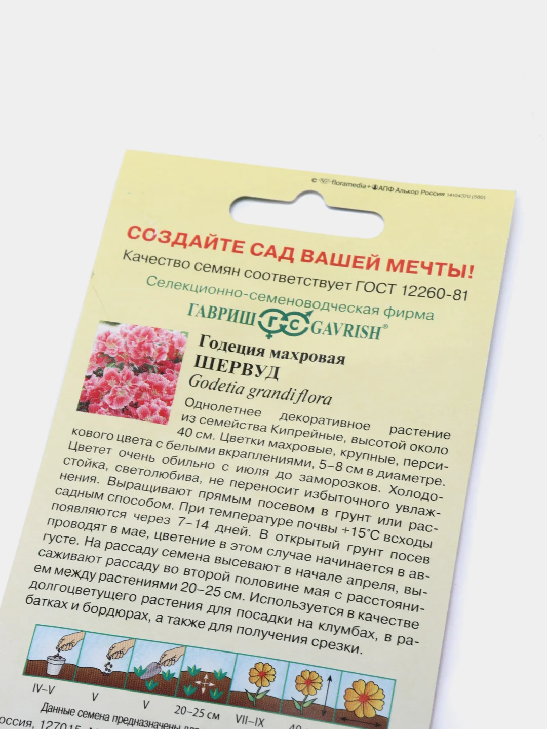 Годеция Шервуд, семена, цветы