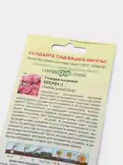 Годеция Шервуд, семена, цветы