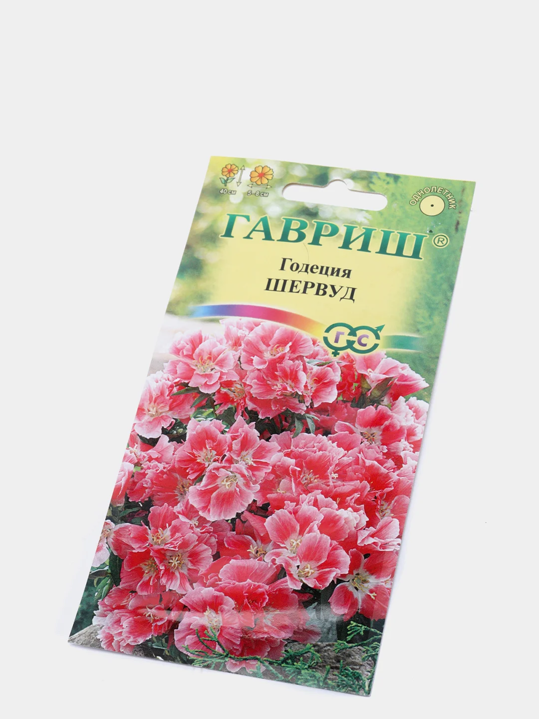 Годеция Шервуд, семена, цветы