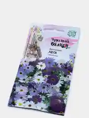 Брахикома Нега (семена,цветы)