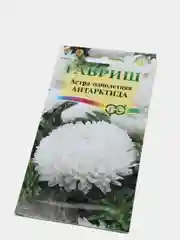 Семена цветов Астра "Антарктида"