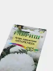 Семена цветов Астра "Антарктида"