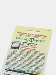 Семена цветов Астра "Антарктида"