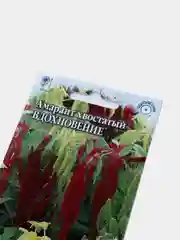Семена Амарант "Вдохновение", цветы