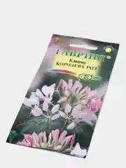 Семена цветов Клеома "Королева роз"