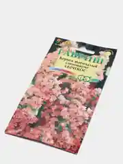 Кермек, лимониум Абрикос, семена, цветы