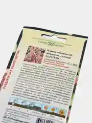 Кермек, лимониум Абрикос, семена, цветы