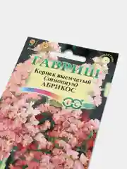 Кермек, лимониум Абрикос, семена, цветы