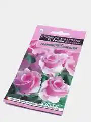 Примула "Ромио розовая", цветы (семена)