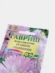 Семена астры "Румяное солнышко"