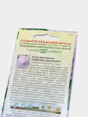 Семена астры "Румяное солнышко"