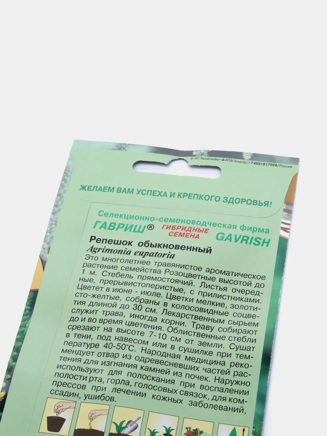 Репешок, семена