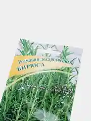 Семена розмарина лекарственного "Бирюса"