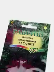 Капуста декоративная Салют (семена,цветы)