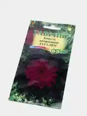 Капуста декоративная Салют (семена,цветы)