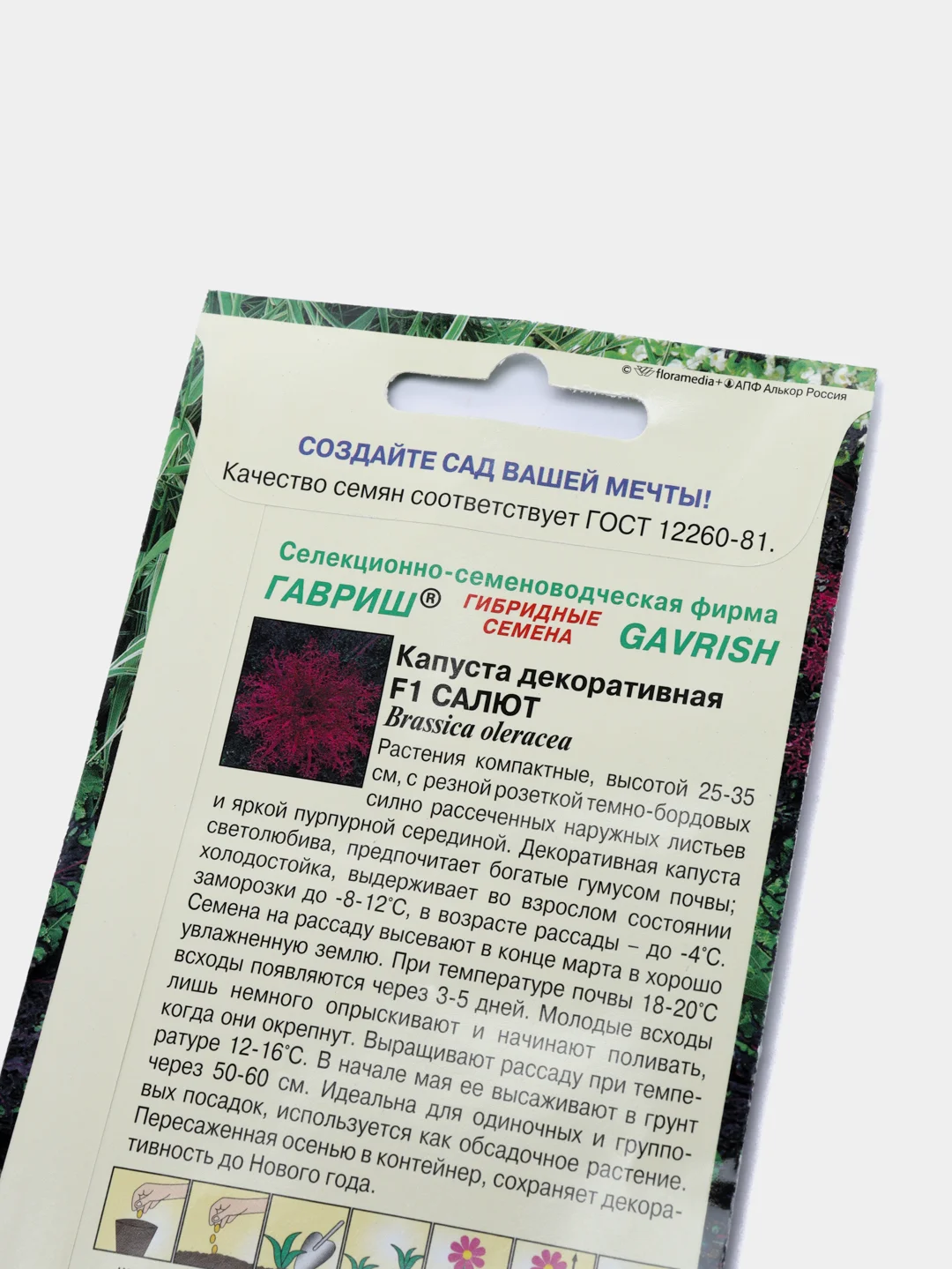 Капуста декоративная Салют (семена,цветы)