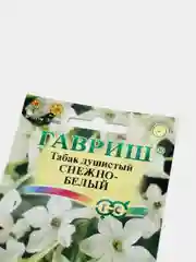 Табак Снежно белый душистый (семена,цветы)