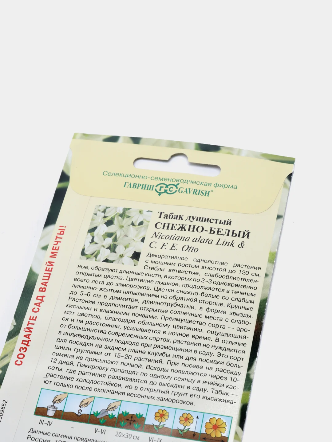 Табак Снежно белый душистый (семена,цветы)