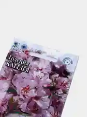 Годеция Каттлея (семена,цветы)
