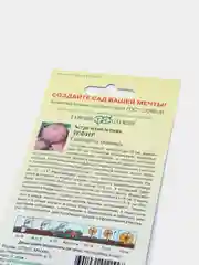 Астра Зефир (семена,цветы)