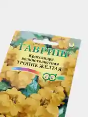 Семена цветов Кроссандра "Тропик желтая"