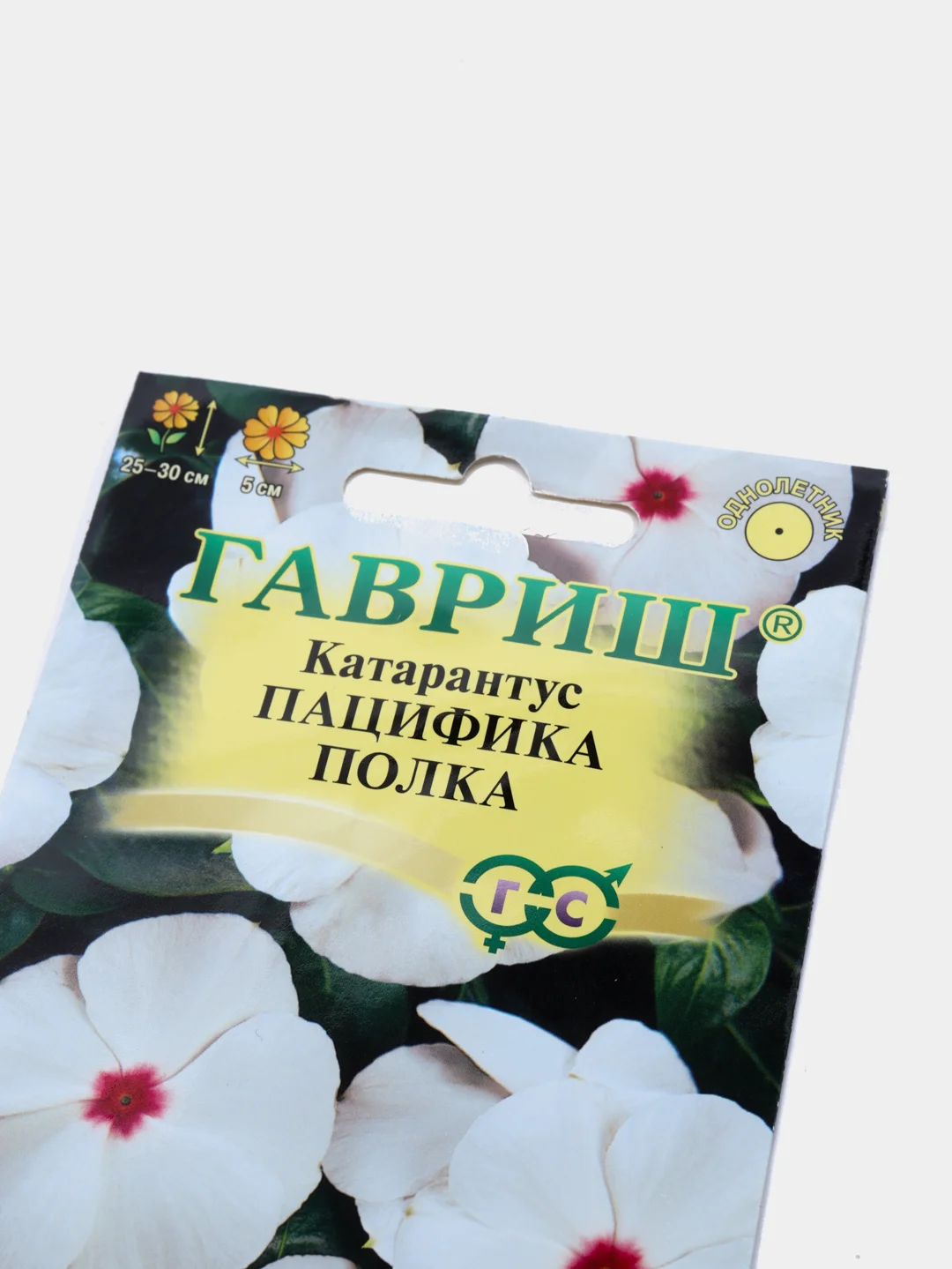 Катарантус Пацифика полка (семена,цветы)