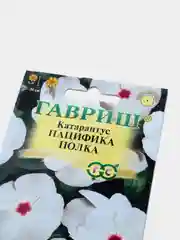 Катарантус Пацифика полка (семена,цветы)