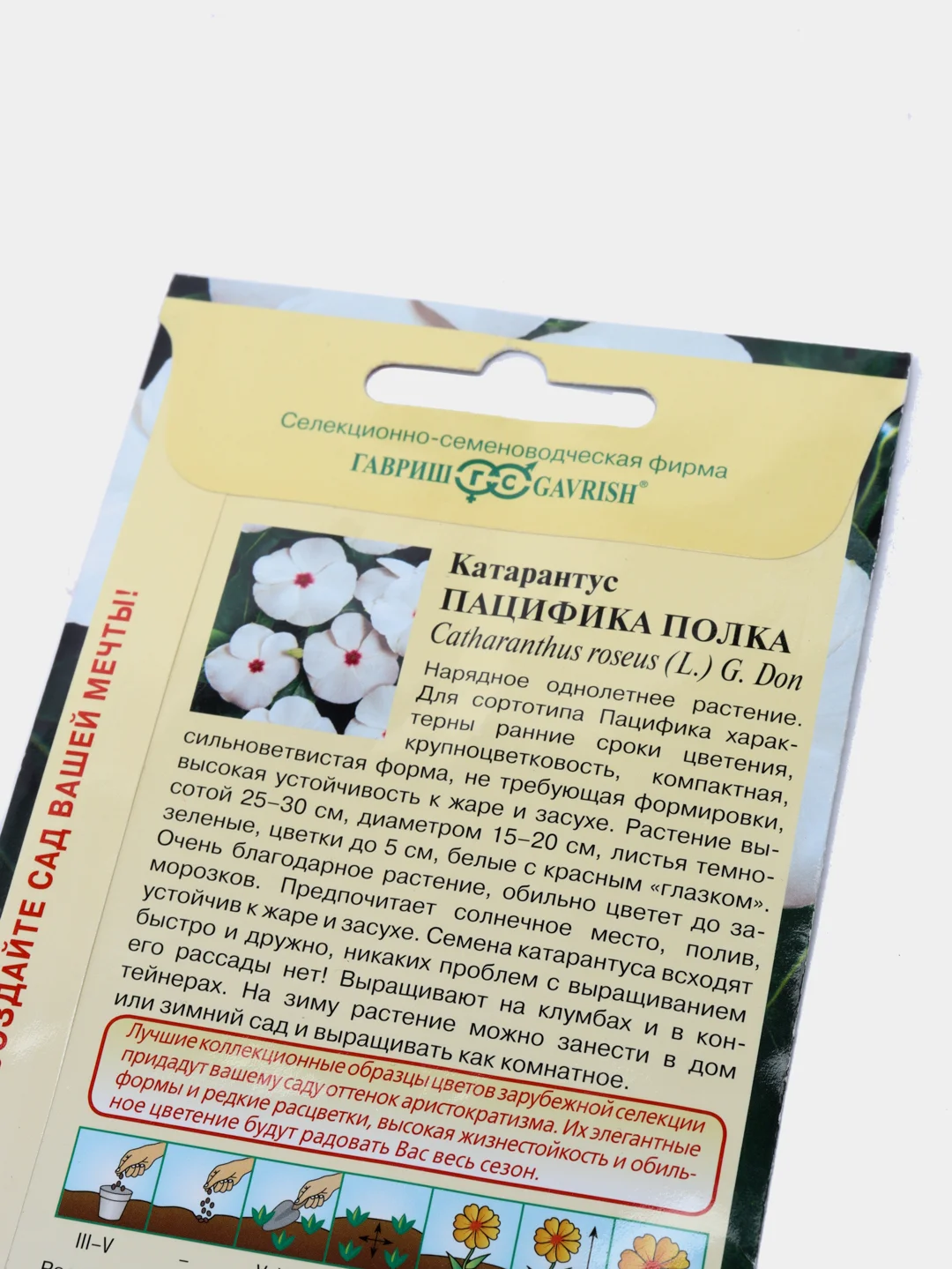 Катарантус Пацифика полка (семена,цветы)