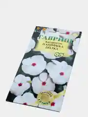 Катарантус Пацифика полка (семена,цветы)
