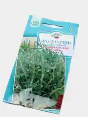 Семена розмарина "Вишняковский семко", лекарственный