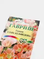 Семена годеции "Слава кельведона", цветы