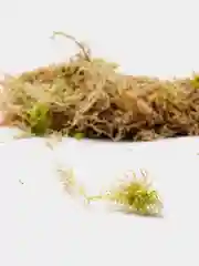 Грунт для орхидей, 4-10 см, 1 л