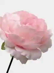 Конфетный цветы искусственные пион
