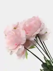 Конфетный цветы искусственные пион