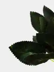 Конфетный цветы искусственные пион