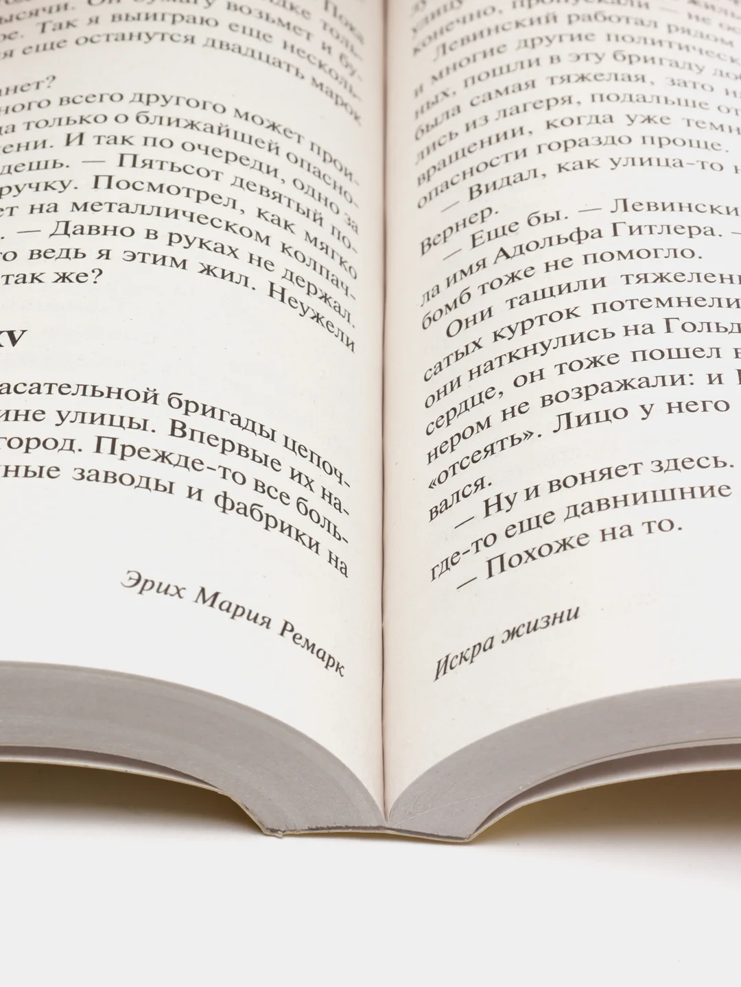 Искра жизни, Ремарк Э.М.