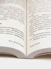 Искра жизни, Ремарк Э.М.