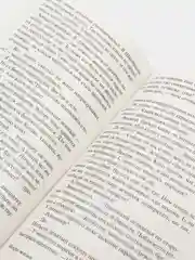 Искра жизни, Ремарк Э.М.