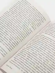Белый Клык. Зов предков, Лондон Д