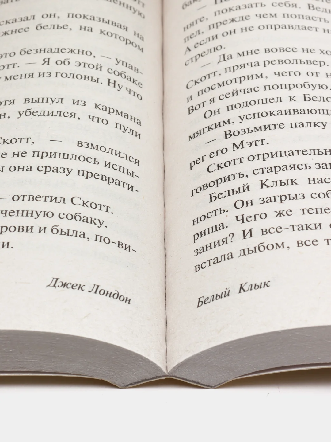 Белый Клык. Зов предков, Лондон Д