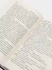 Голодные игры. Новое издание