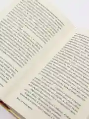 Морфий. М.А.Булгаков
