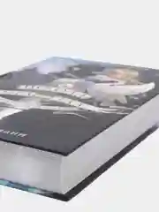 Школа Добра и Зла. Принцесса или ведьма (#1), Соман Чайнани