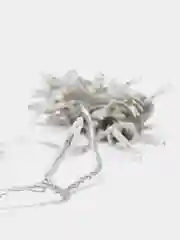 Белый гирлянда 10м I 2 цвета