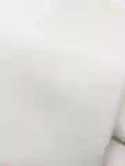 Белый манжеты трикотажные цветные