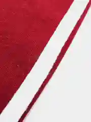 Багровый комбинезон для малышей "Спорт"