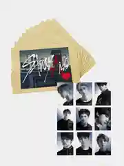 Набор фотографий в крафт конверте с принтом, группы Stray Kids