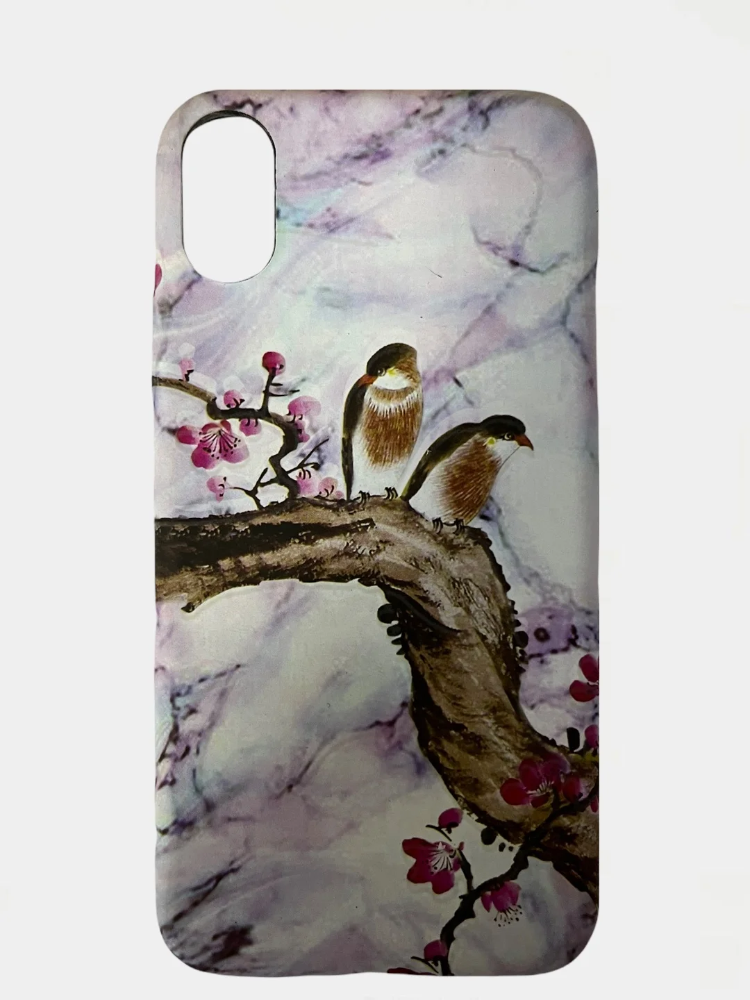 Голубой чехол для iPhone X iPhone XS фосфорная птицы