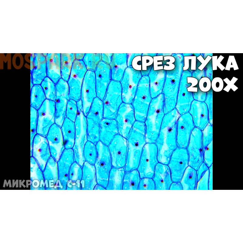 Микроскоп Микромед С-11