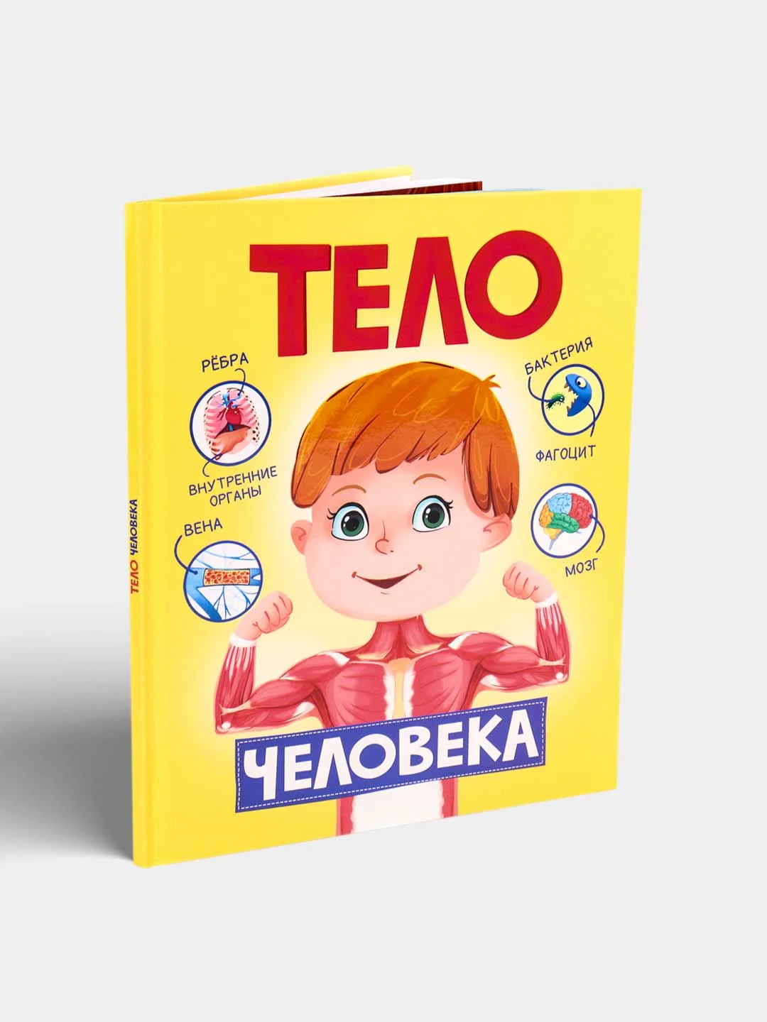 Книга для детей "Тело человека", Проф-Пресс